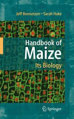 Handbook of Maize: Its Biology 1