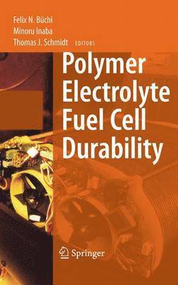 Polymer Electrolyte Fuel Cell Durability 1