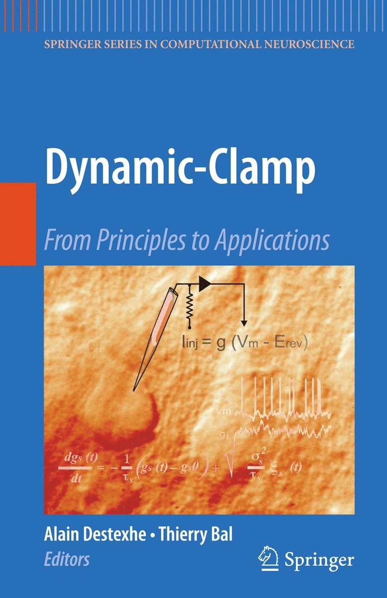 Dynamic-Clamp 1