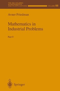 bokomslag Mathematics in Industrial Problems