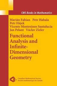 bokomslag Functional Analysis and Infinite-Dimensional Geometry