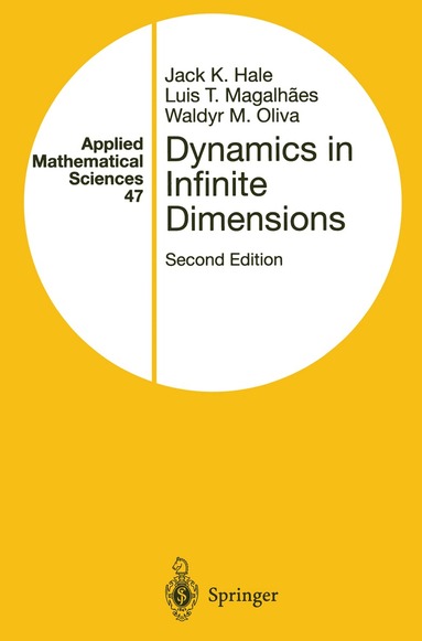 bokomslag Dynamics in Infinite Dimensions