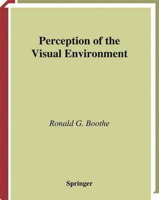 Perception of the Visual Environment 1