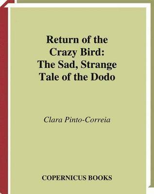 Return of the Crazy Bird 1