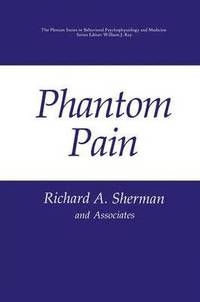 bokomslag Phantom Pain