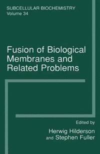 bokomslag Fusion of Biological Membranes and Related Problems