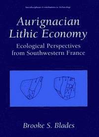 bokomslag Aurignacian Lithic Economy