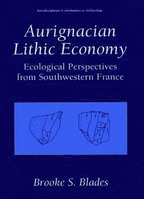 bokomslag Aurignacian Lithic Economy