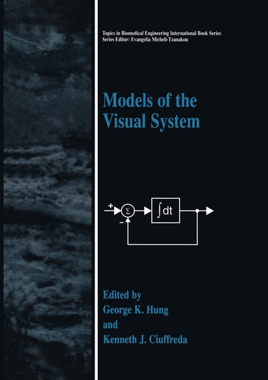 bokomslag Models of the Visual System