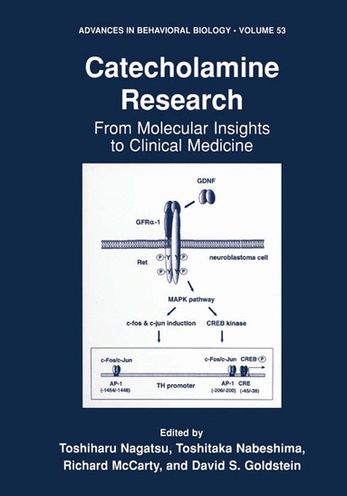 Toshiharu Nagatsu, Toshitaka Nabeshima, Richard McCarty, David S. Goldstein - Catecholamine Research, Häftad