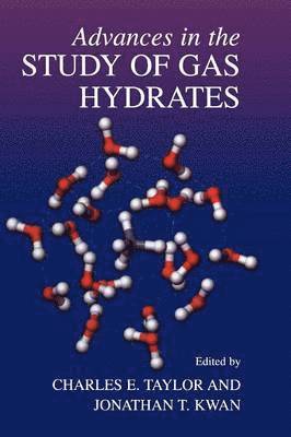 bokomslag Advances in the Study of Gas Hydrates