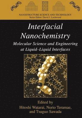 Hitoshi Watarai, Norio Teramae, Tsugo Sawada - Interfacial Nanochemistry, Häftad