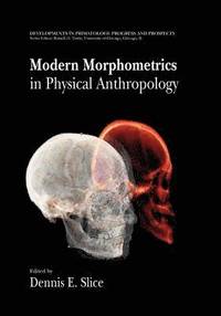 bokomslag Modern Morphometrics in Physical Anthropology