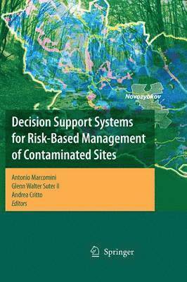 Decision Support Systems for Risk-Based Management of Contaminated Sites 1