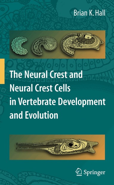 Brian K. Hall - Neural Crest and Neural Crest Cells in Vertebrate Development and Evolution, Häftad