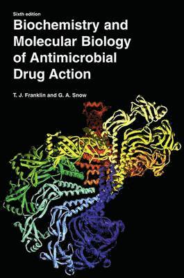Trevor J. Franklin, George Alan Snow - Biochemistry and Molecular Biology of Antimicrobial Drug Action, Häftad