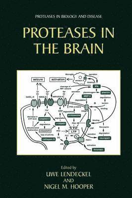 Proteases in the Brain 1