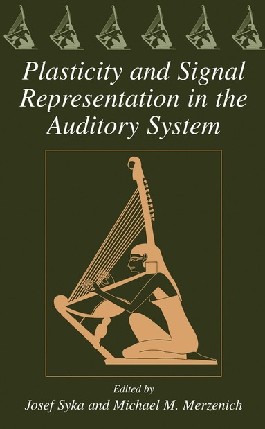 bokomslag Plasticity and Signal Representation in the Auditory System