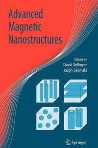 bokomslag Advanced Magnetic Nanostructures