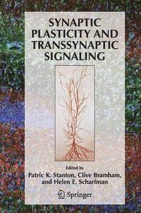 bokomslag Synaptic Plasticity and Transsynaptic Signaling