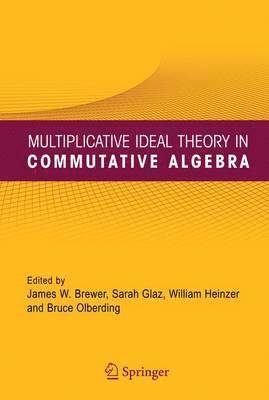 Multiplicative Ideal Theory in Commutative Algebra 1