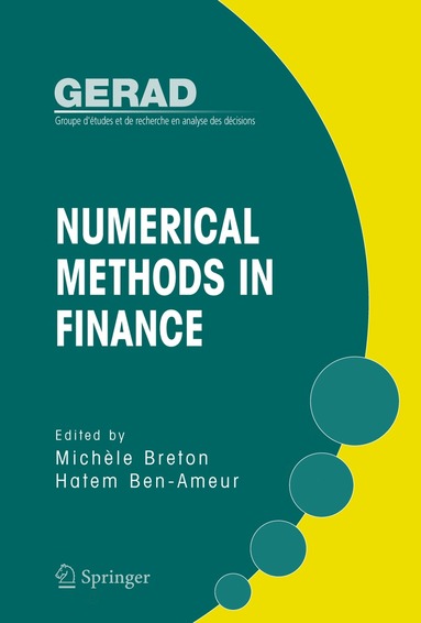 bokomslag Numerical Methods in Finance