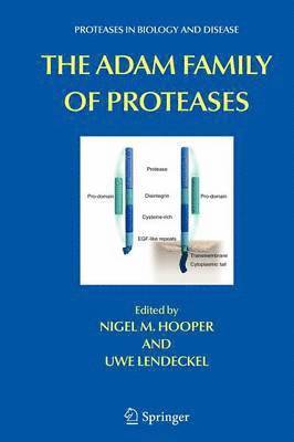 bokomslag The ADAM Family of Proteases