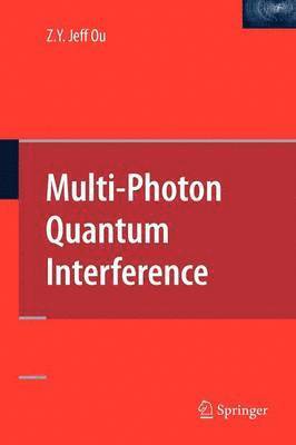 Multi-Photon Quantum Interference