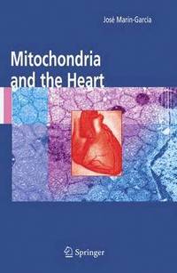 bokomslag Mitochondria and the Heart