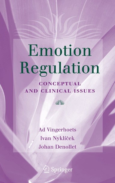 Ivan Nyklíček, Ad Vingerhoets, Marcel Zeelenberg - Emotion Regulation, Häftad