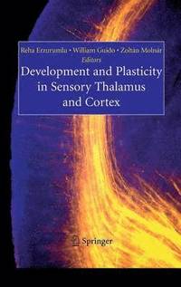 bokomslag Development and Plasticity in Sensory Thalamus and Cortex