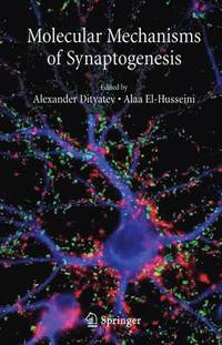 bokomslag Molecular Mechanisms of Synaptogenesis