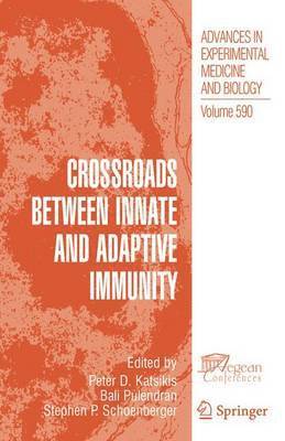 Crossroads between Innate and Adaptive Immunity 1