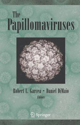 bokomslag Papillomaviruses