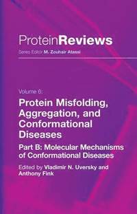 bokomslag Protein Misfolding, Aggregation and Conformational Diseases