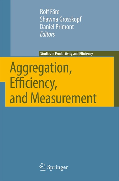 Rolf Färe, Shawna Grosskopf, Daniel Primont - Aggregation, Efficiency, and Measurement, Häftad