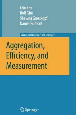 Aggregation, Efficiency, and Measurement 1