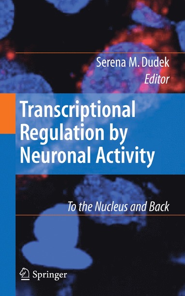 bokomslag Transcriptional Regulation by Neuronal Activity