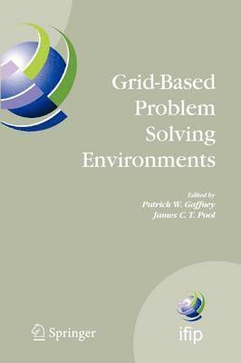 Grid-Based Problem Solving Environments 1