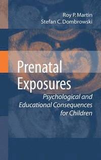bokomslag Prenatal Exposures