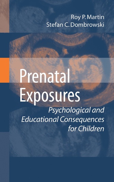 bokomslag Prenatal Exposures