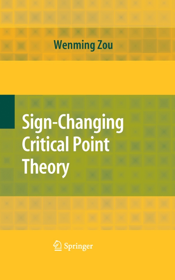 Wenming Zou - Sign-Changing Critical Point Theory, Häftad