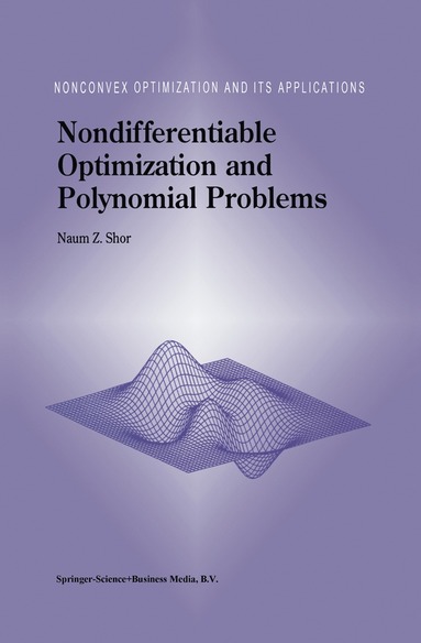 bokomslag Nondifferentiable Optimization and Polynomial Problems