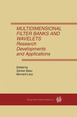 Multidimensional Filter Banks and Wavelets 1