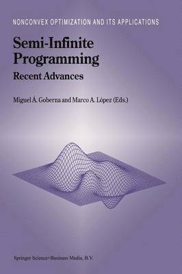 bokomslag Semi-Infinite Programming