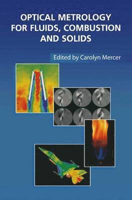 Carolyn Mercer - Optical Metrology for Fluids, Combustion and Solids, Häftad