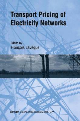 Transport Pricing of Electricity Networks 1