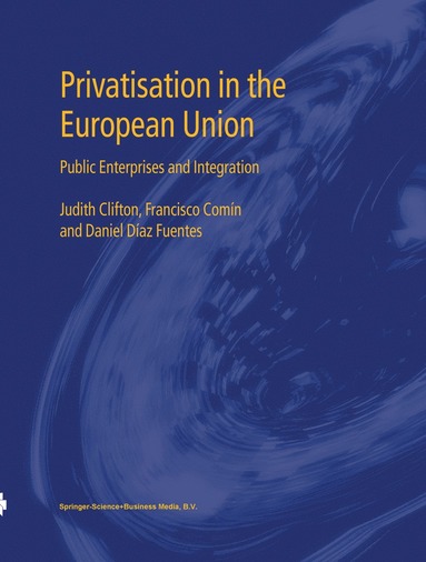 bokomslag Privatisation in the European Union