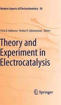 bokomslag Theory and Experiment in Electrocatalysis