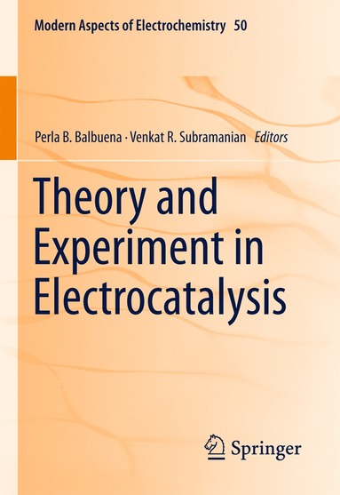 bokomslag Theory and Experiment in Electrocatalysis